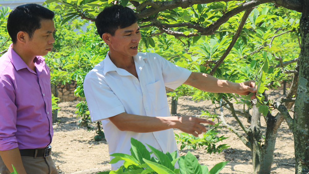 Những “thủ lĩnh” Hội Nông dân ứng cử Đại biểu Quốc hội khoá XV  - Ảnh 5.