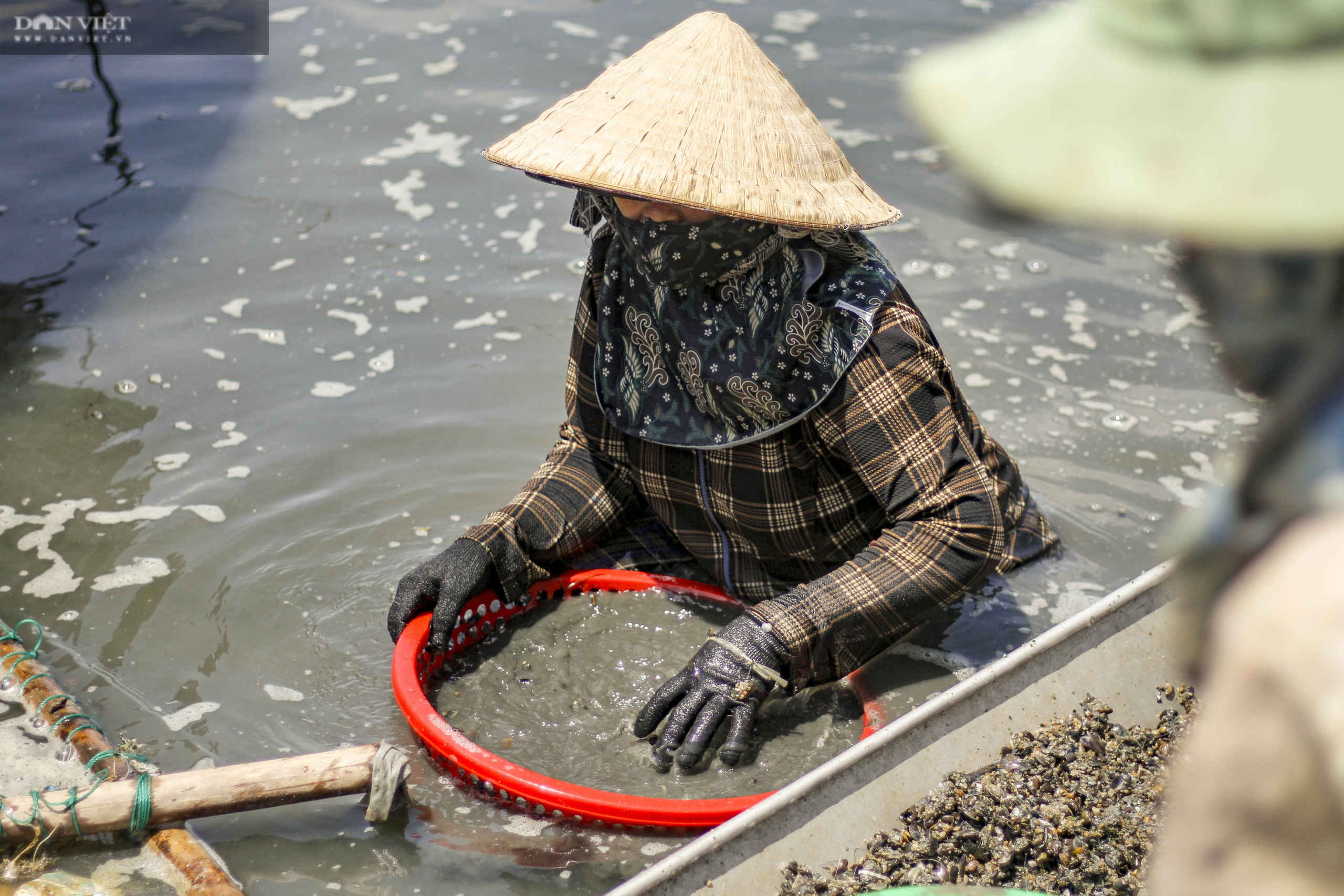 Ngâm mình 6 giờ đồng hồ dưới nước, chân đạp bùn chỉ để săn loài này làm thức ăn &quot;khoái khẩu&quot; cho tôm hùm - Ảnh 5.