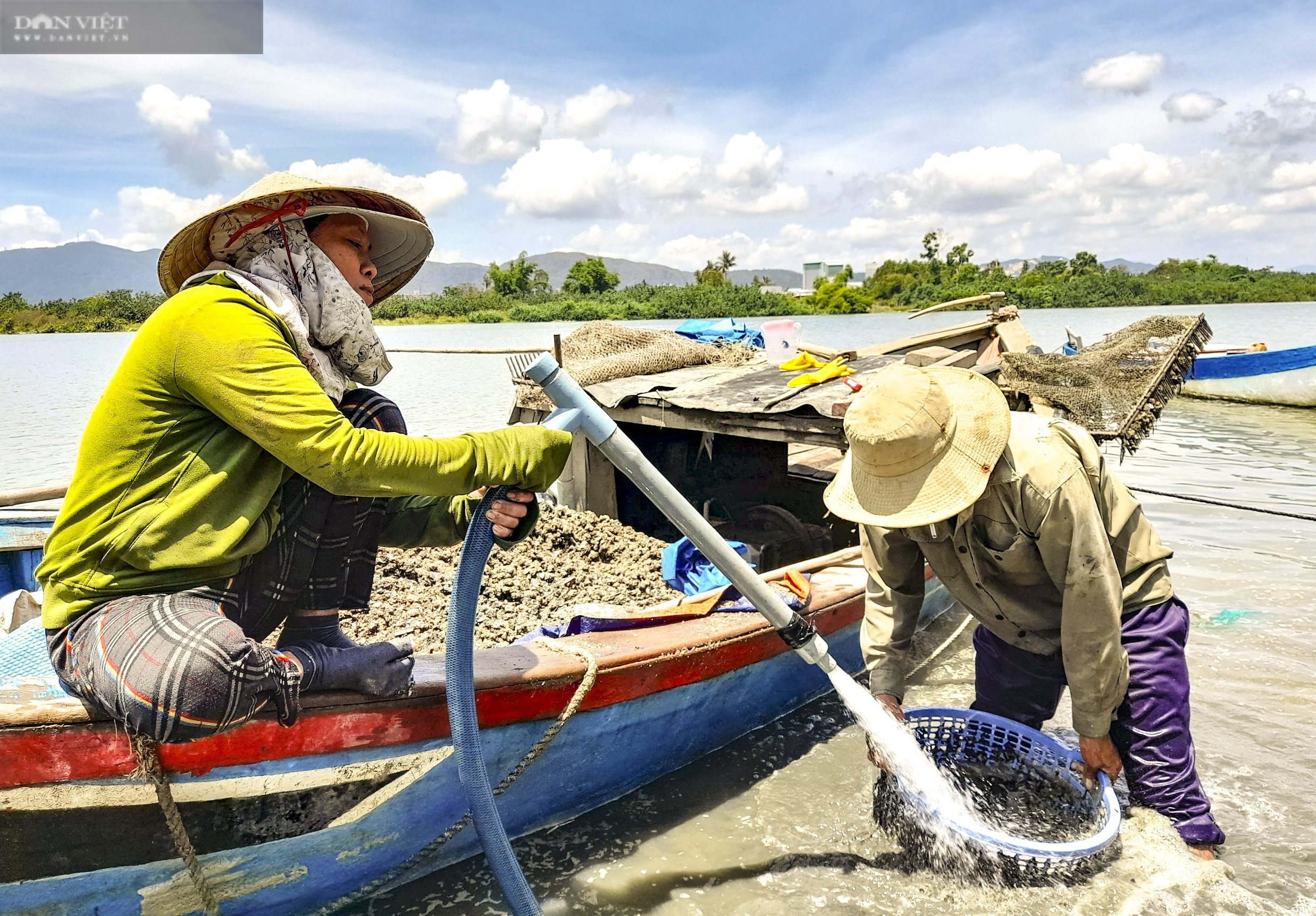 Ngâm mình 6 giờ đồng hồ dưới nước, chân đạp bùn chỉ để săn loài này làm thức ăn &quot;khoái khẩu&quot; cho tôm hùm - Ảnh 6.