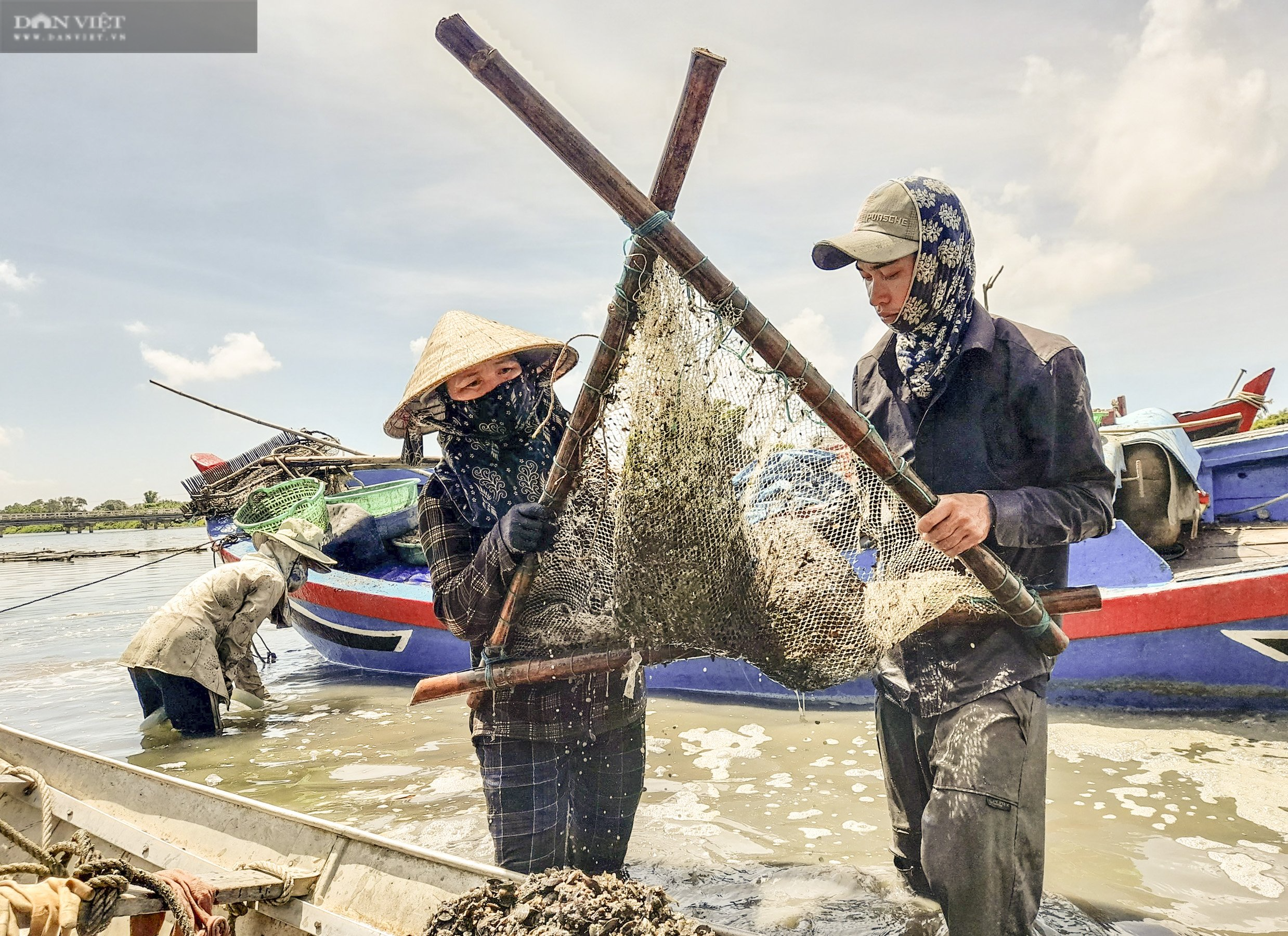 Ngâm mình 6 giờ đồng hồ dưới nước, chân đạp bùn chỉ để săn loài này làm thức ăn &quot;khoái khẩu&quot; cho tôm hùm - Ảnh 9.