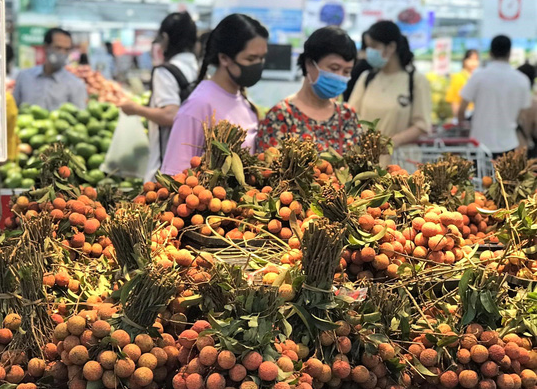 “Ông lớn” siêu thị bắt đầu đưa vải thiều lên kệ, giá từ 22.000 đồng/kg - Ảnh 1.