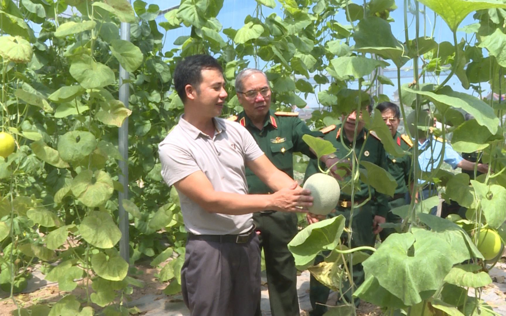 Ứng Hòa: Nhiều nông dân thử một lần chơi lớn trồng đủ loại rau, quả áp dụng công nghệ cao khiến thiên hạ trầm trồ