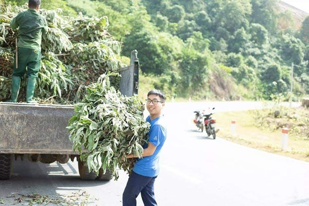 Trai làng tỉnh Lào Cai trồng các loài cỏ dân dã vườn nhà, bất ngờ lại giàu lên - Ảnh 4.