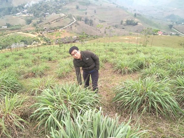 Trai làng tỉnh Lào Cai trồng các loài cỏ dân dã vườn nhà, bất ngờ lại giàu lên - Ảnh 1.