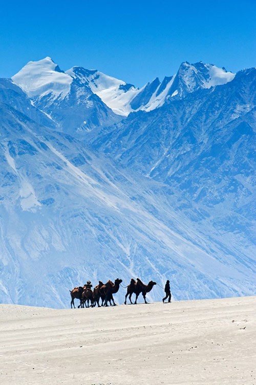 Hành trình phiêu lưu tới Ladakh, “săn” báo tuyết trên “nóc nhà thế giới” - Ảnh 5.
