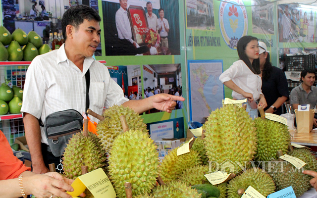 Ông Trần Quang Hiệp (trái) giới thiệu sầu riêng ViepGAP tại hội chợ trái cây ở TP.HCM
