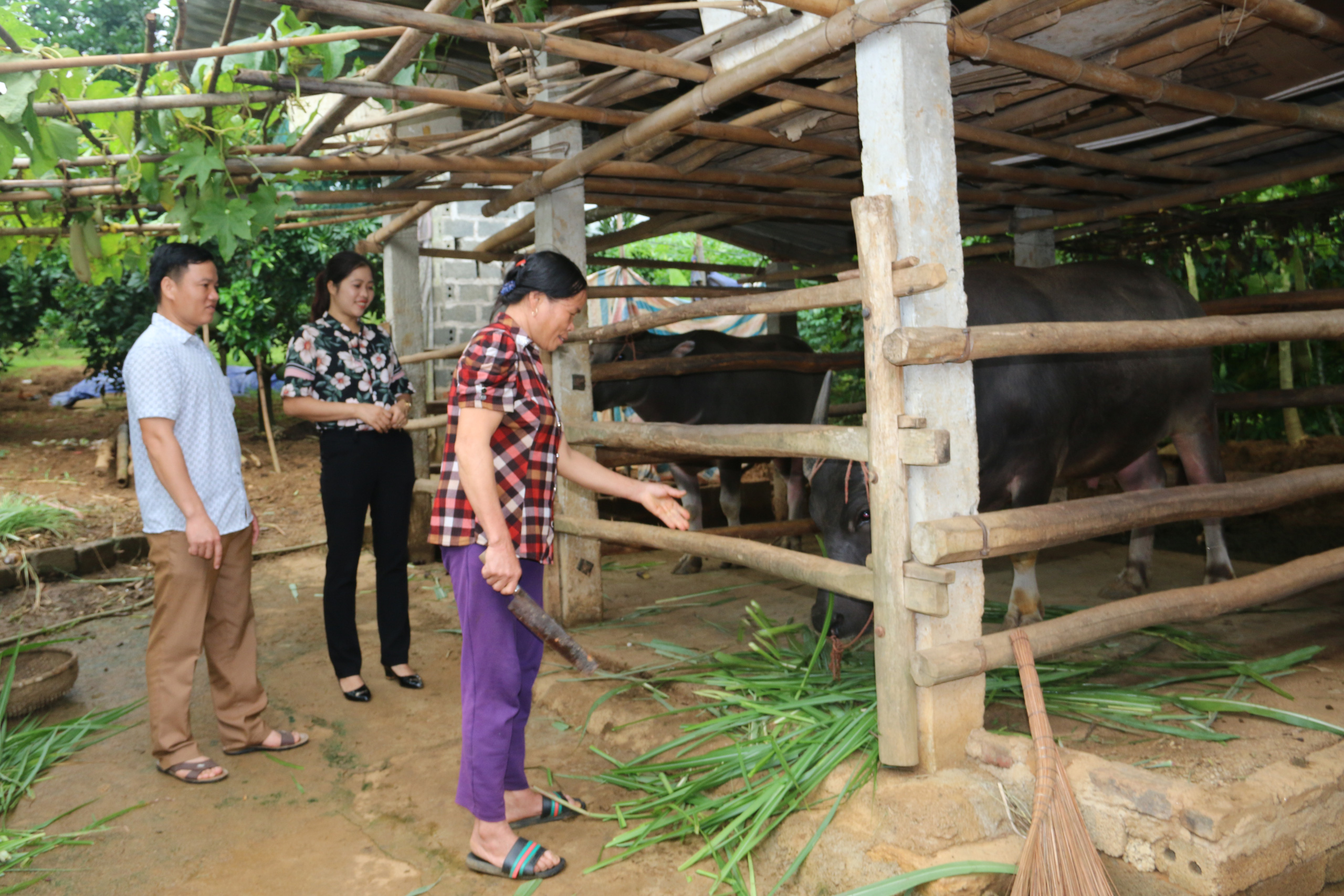 Hội viên nông dân Hòa Bình: Khẳng định vai trò nòng cốt trong XDNTM - Ảnh 6.