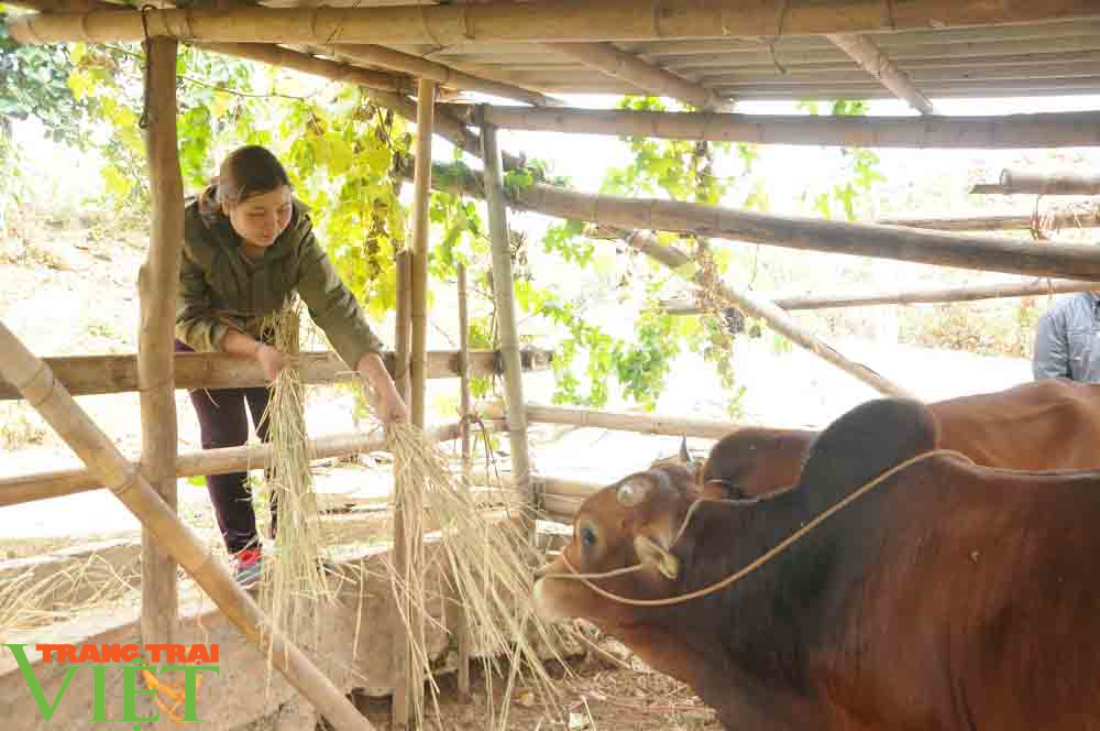 Hội viên nông dân tích cực tham gia xây dựng Nông thôn mới và phát triển kinh tế - Ảnh 4.