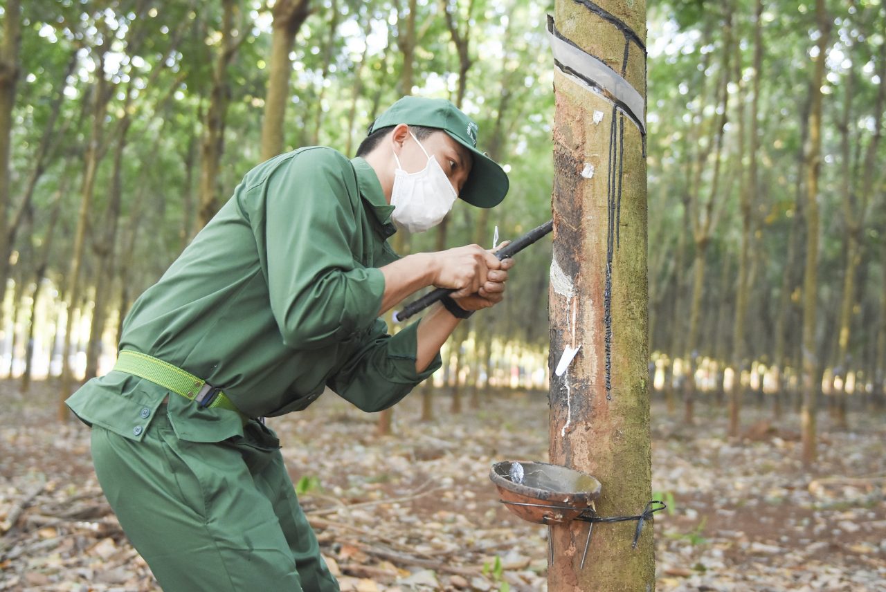 Nông sản - Ảnh 1.