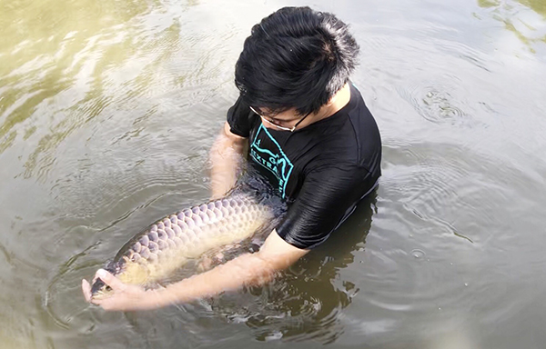 Chàng trai Đồng Nai nuôi cá quý hiếm trong ao làng, bất ngờ nhất là điều gì? - Ảnh 3.