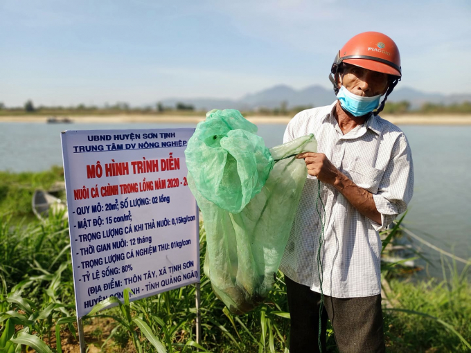 Quảng Ngãi: Nông dân nuôi thứ cá gì mà vừa dài vừa to bự, bán 600.000 đồng/kg mà nhiều người cứ mua? - Ảnh 3.