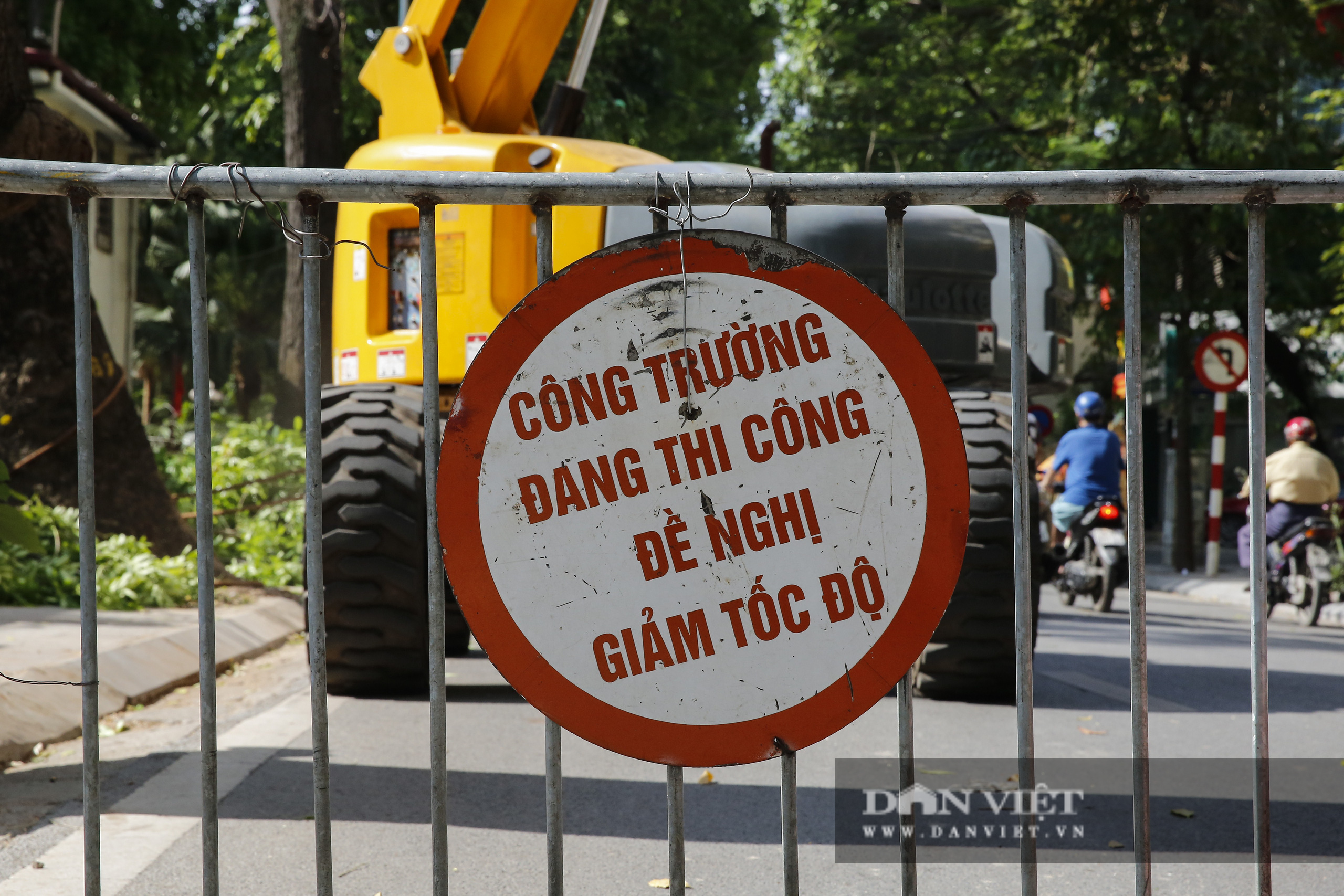 Hà Nội: Dùng xe nâng người dài 26 mét cắt tỉa hơn 20.000 cây nguy hiểm - Ảnh 2.