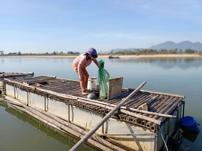 Quảng Ngãi: Nông dân nuôi thứ cá gì mà vừa dài vừa to bự, bán 600.000 đồng/kg mà nhiều người cứ mua? - Ảnh 1.