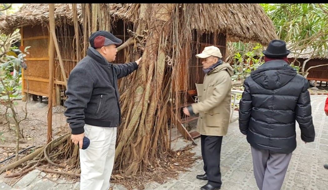 Các nhà khoa học lên tiếng việc phá công trình du lịch sinh thái để trồng cây trên vịnh Lan Hạ - Ảnh 2.