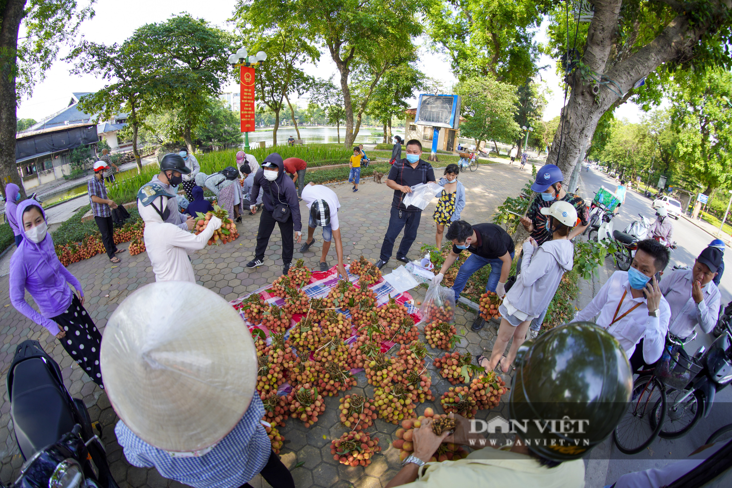 Dịch Covid-19: Vải Bắc Giang &quot;vượt ải&quot; về Hà Nội, người dân hào hứng ủng hộ - Ảnh 4.