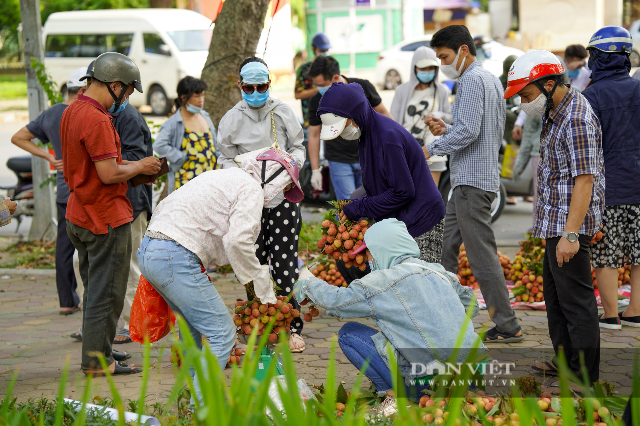 Dịch Covid-19: Vải Bắc Giang &quot;vượt ải&quot; về Hà Nội, người dân hào hứng ủng hộ - Ảnh 7.