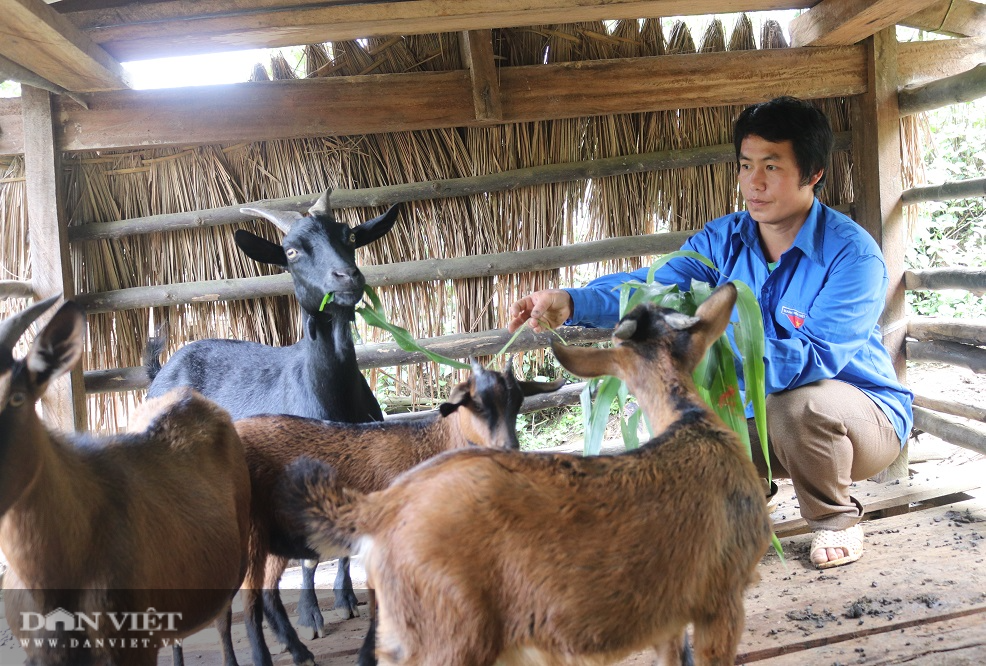 Người Mông bản Cửa Rừng nói không với tà đạo - Ảnh 4.