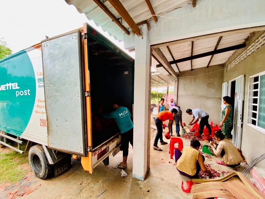 Bán trực tuyến loại củ làm mắt cay xè, dân dã, bổ dưỡng, tiêu thụ 30 tấn sau 10 ngày - Ảnh 1.