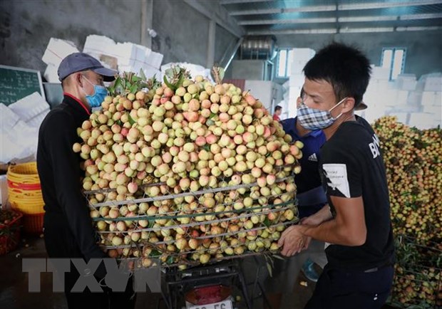 Thủ tướng chỉ đạo tháo gỡ khó khăn tiêu thụ nông sản cho Bắc Giang - Ảnh 1.