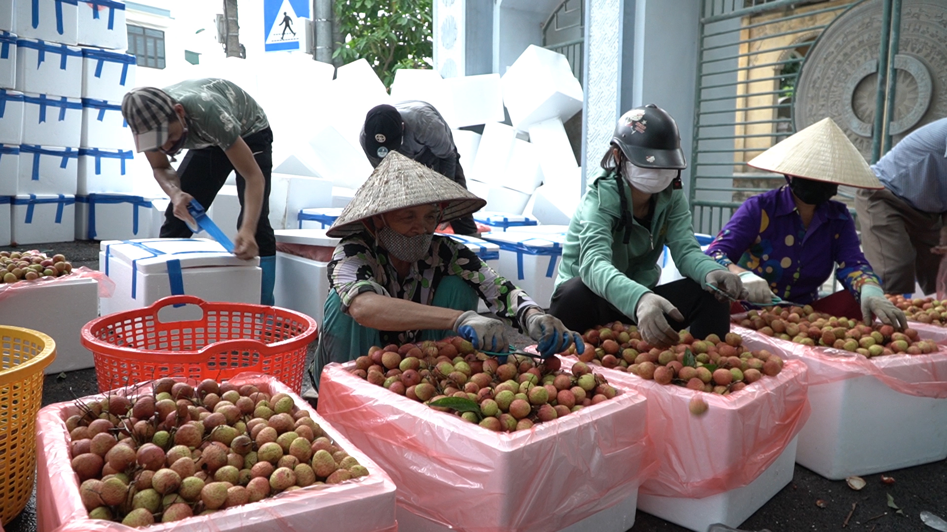 Vải Thanh Hà duy trì giá bán ổn định bất chấp đại dịch COVID-19 - Ảnh 4.