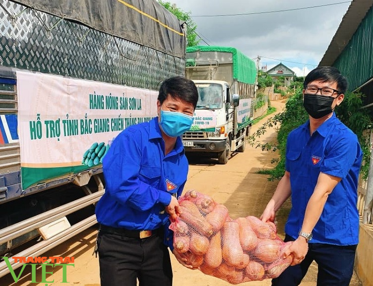 Sơn La: Ủng hộ 21 tấn rau, củ, quả cho người dân 2 tỉnh Bắc Ninh và Bắc Giang - Ảnh 2.