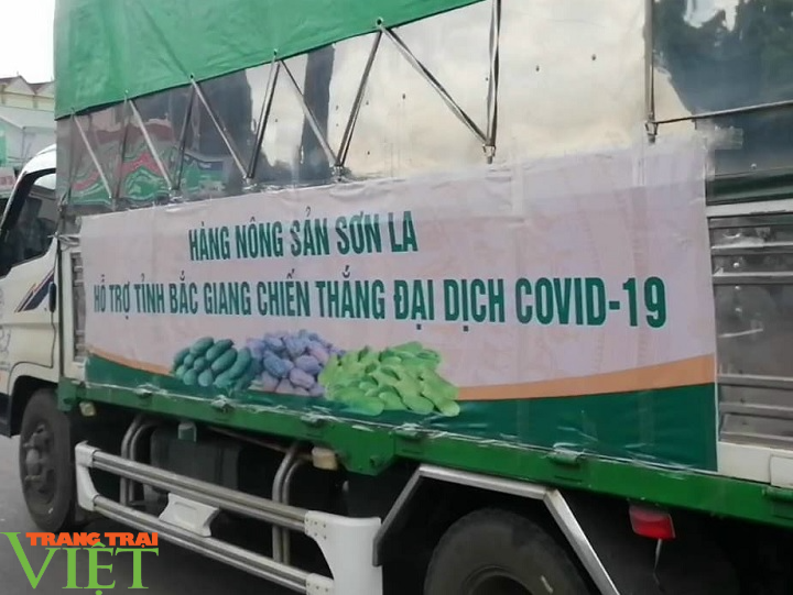 Sơn La: Ủng hộ 21 tấn rau, củ, quả cho người dân 2 tỉnh Bắc Ninh và Bắc Giang - Ảnh 4.