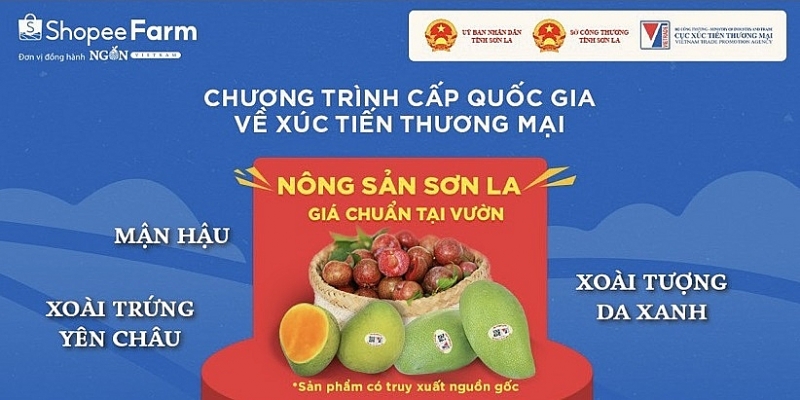 Gần 1 tấn mận hậu Sơn La đã được bán trên sàn thương mại điện tử - Ảnh 1.