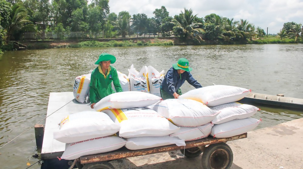 Giá thức ăn chăn nuôi tăng cao &quot;lộ&quot; ra điểm yếu nào của ngành chăn nuôi? - Ảnh 1.