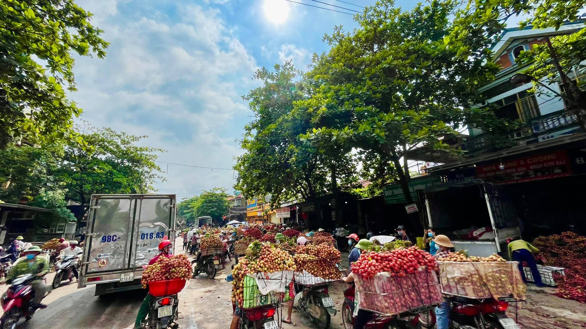 Người Nhật mua hết veo quả tiến vua giá gần nửa triệu đồng/kg, Bắc Giang tiếp tục &quot;tấn công&quot; thị trường Mỹ - Ảnh 4.