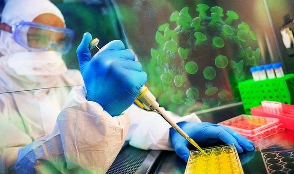 Phát hiện một loại virus viêm phổi mới có nguồn gốc từ chó, liệu có nguy hiểm? - Ảnh 1.