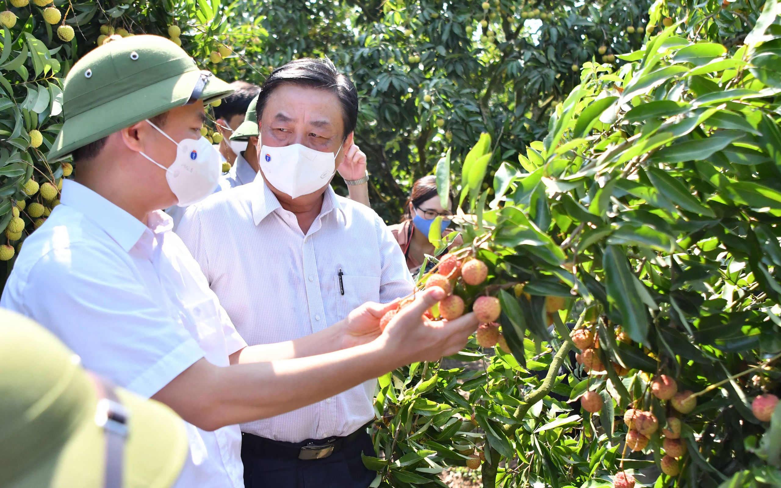 Bộ trưởng Lê Minh Hoan hứa sẽ kiến nghị Thủ tướng việc khó Bắc Giang không giải quyết được trong tiêu thụ vải thiều