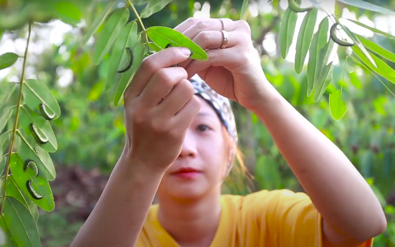 Xuất hiện loài "tôm trời" khiến người dân Tây Nguyên đổ xô đi tìm, bắt bán với giá "trên trời", nhiều người nhìn "ớn"