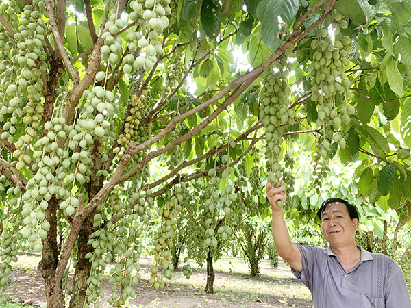 Bài học từ Đồng Nai: Lòng dân   - Ảnh 1.