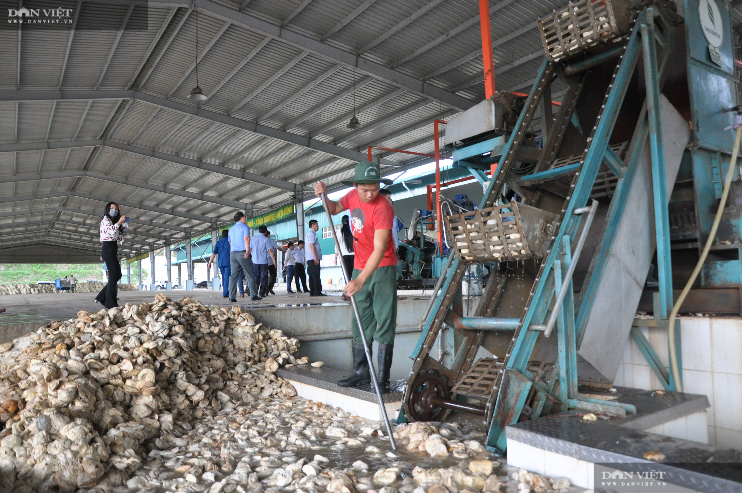 &quot;Mục sở thị&quot; nơi chế biến &quot;vàng trắng&quot; xuất khẩu đi Trung Quốc ở Tây bắc - Ảnh 3.