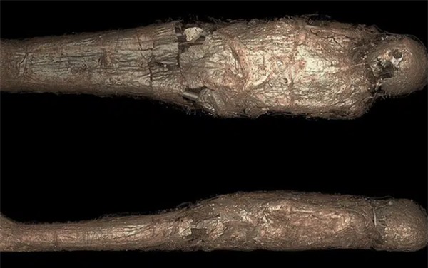Bí ẩn rùng rợn về 'kén xác ướp' trong quan tài Ai Cập hơn 3.000 năm tuổi - Ảnh 1.
