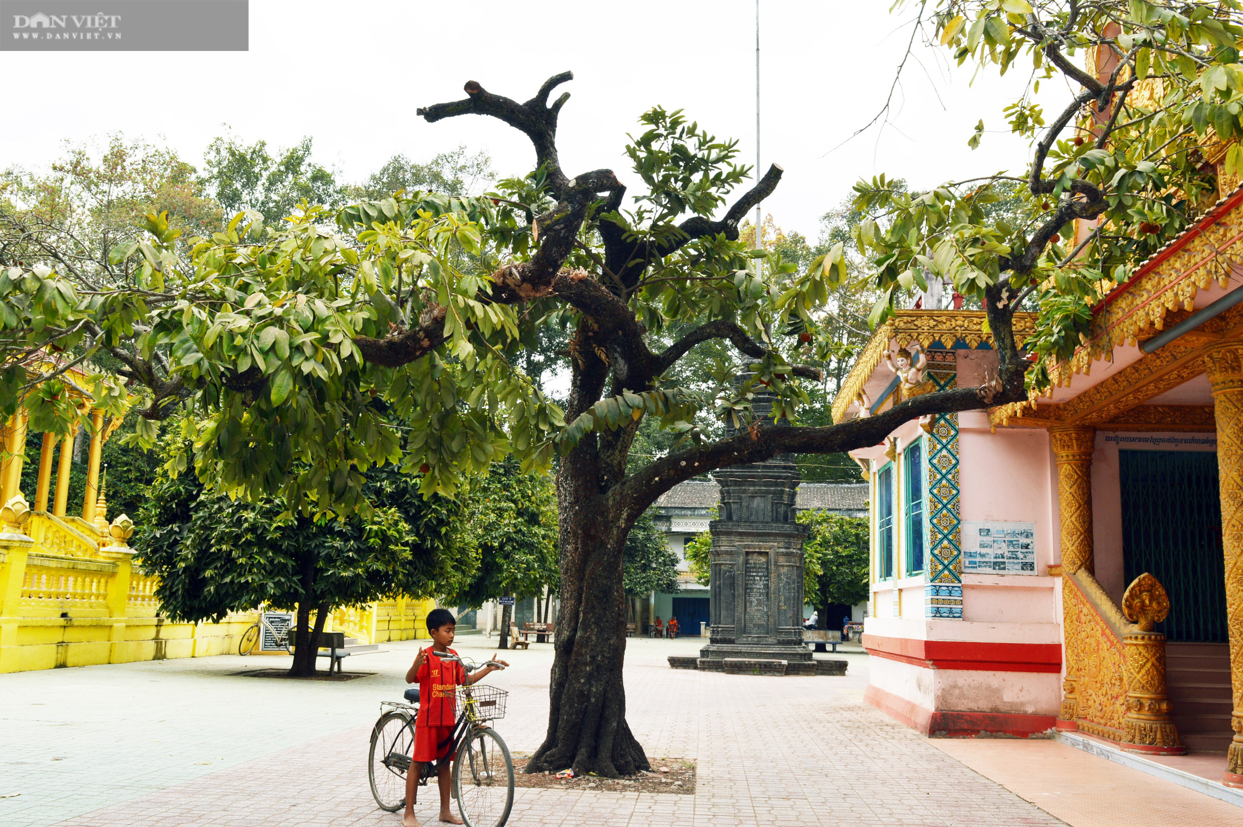 Sóc Trăng: Huyền bí ngôi chùa Khmer hơn 500 tuổi  - Ảnh 6.