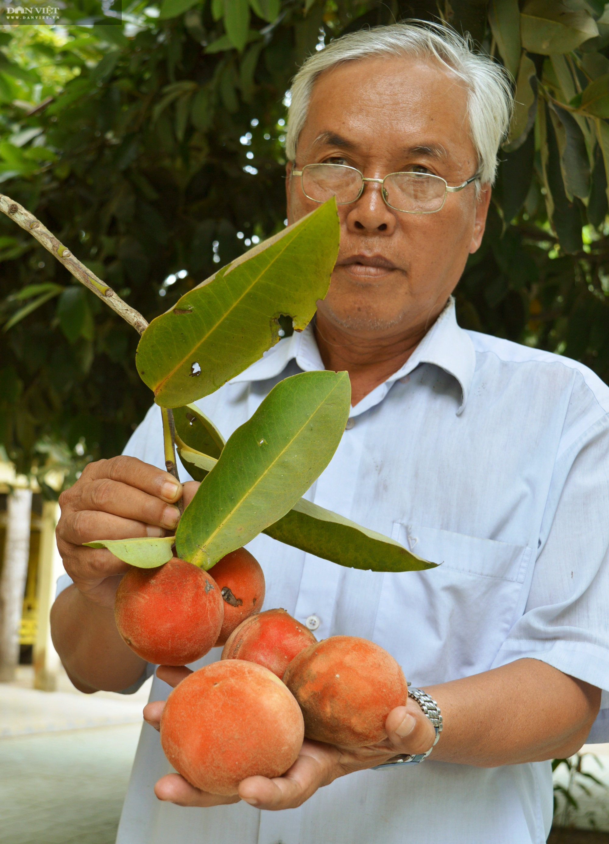 Sóc Trăng: Huyền bí ngôi chùa Khmer hơn 500 tuổi  - Ảnh 8.