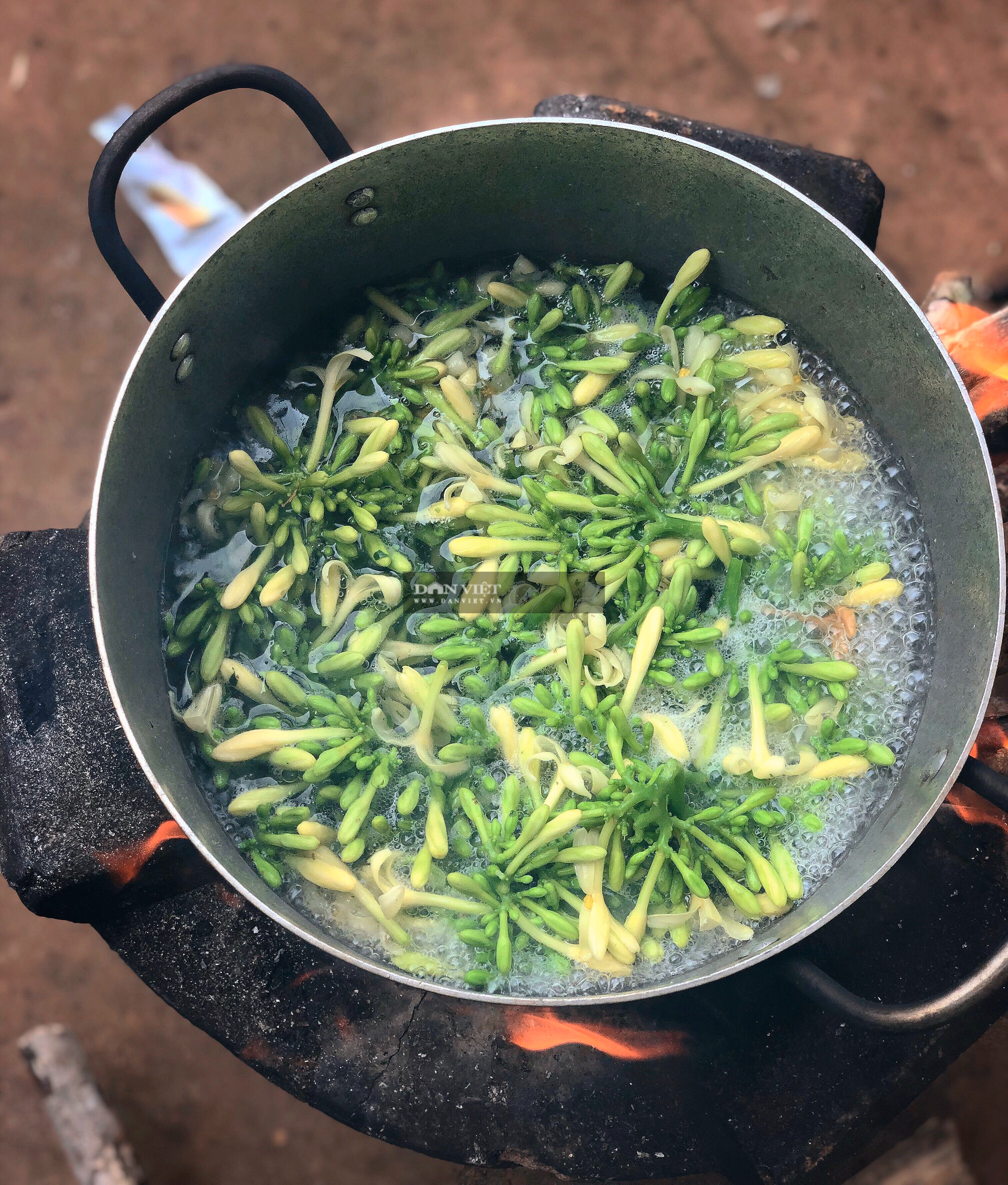 Món gì vừa đắng, vừa cay của người Êđê mà nhà hàng phải &quot;năn nỉ&quot; xin công thức cho bằng được? - Ảnh 5.