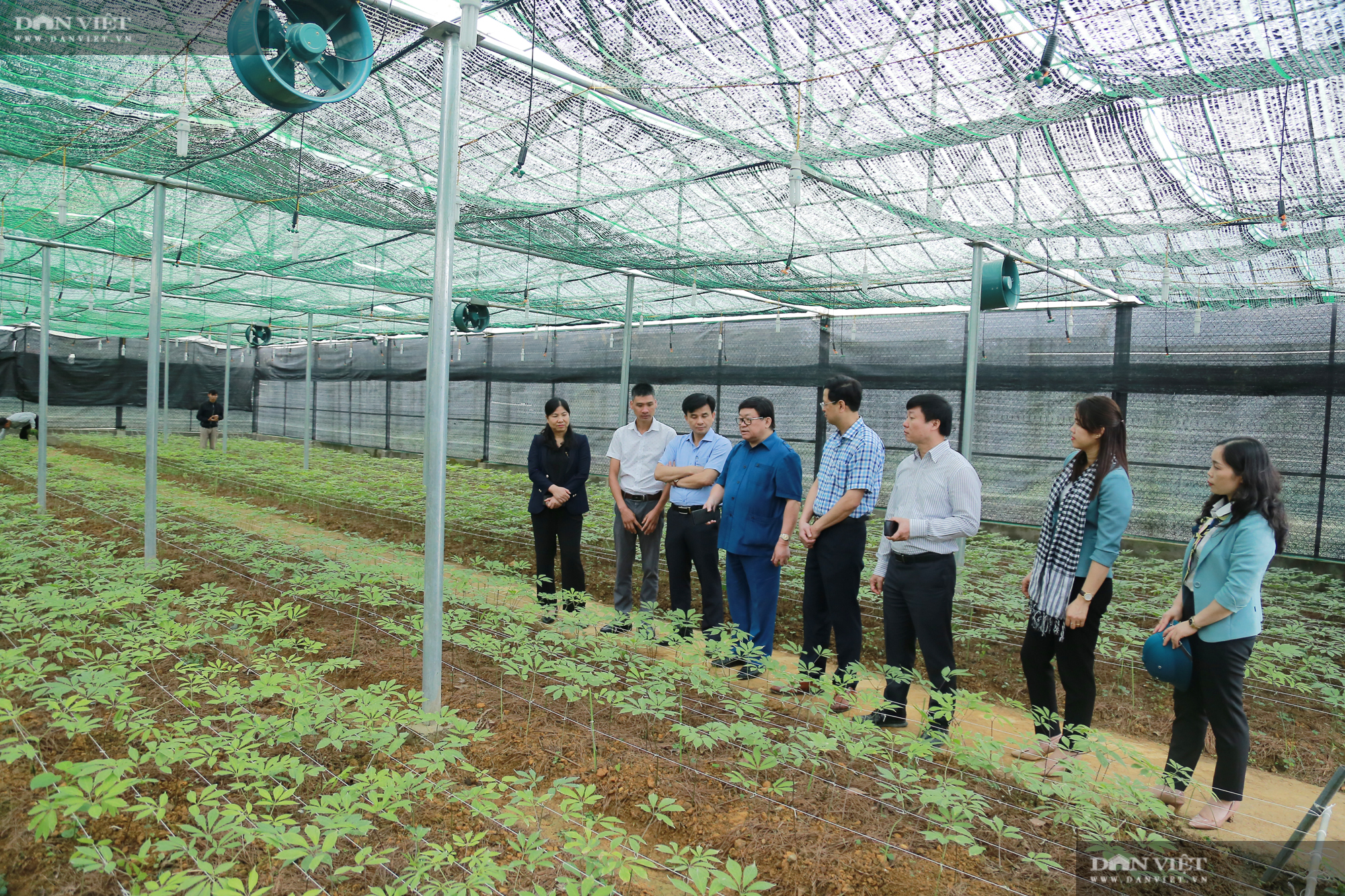 Chủ tịch Hội Nông dân Việt Nam thăm trại nghiên cứu cây ăn quả đặc sản ở biên giới - Ảnh 10.