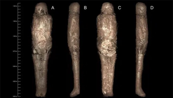 Bí ẩn rùng rợn về 'kén xác ướp' trong quan tài Ai Cập hơn 3.000 năm tuổi - Ảnh 2.