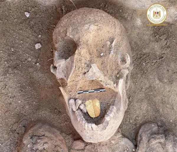 Bí ẩn rùng rợn về 'kén xác ướp' trong quan tài Ai Cập hơn 3.000 năm tuổi - Ảnh 3.