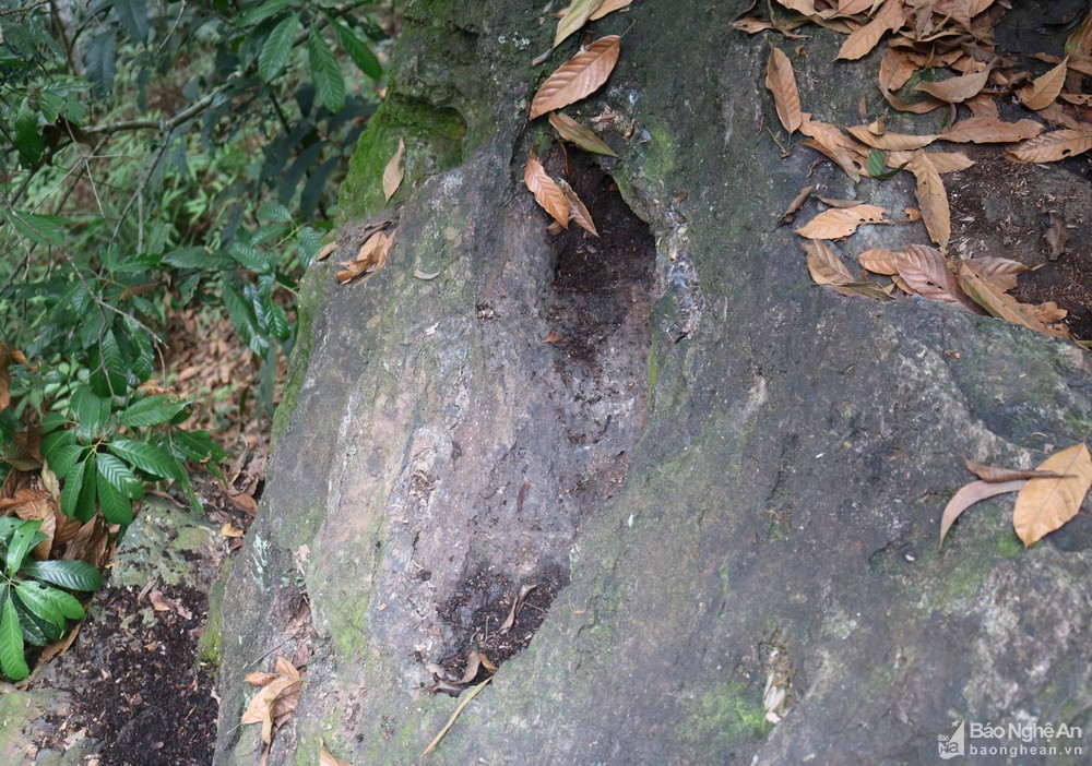 Nghệ An: Khối đá linh thiêng với dấu chân khổng lồ gắn liền với những câu chuyện huyền bí - Ảnh 6.