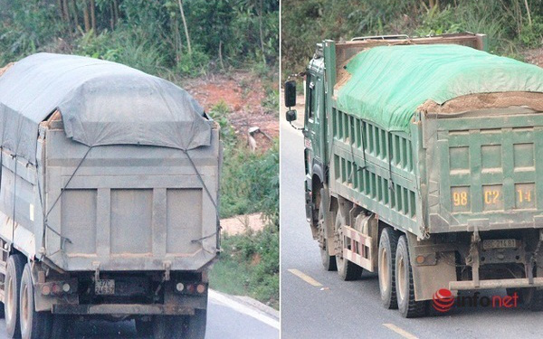 Vì lợi nhuận xe quá tải tái diễn tại nhiều tuyến quốc lộ