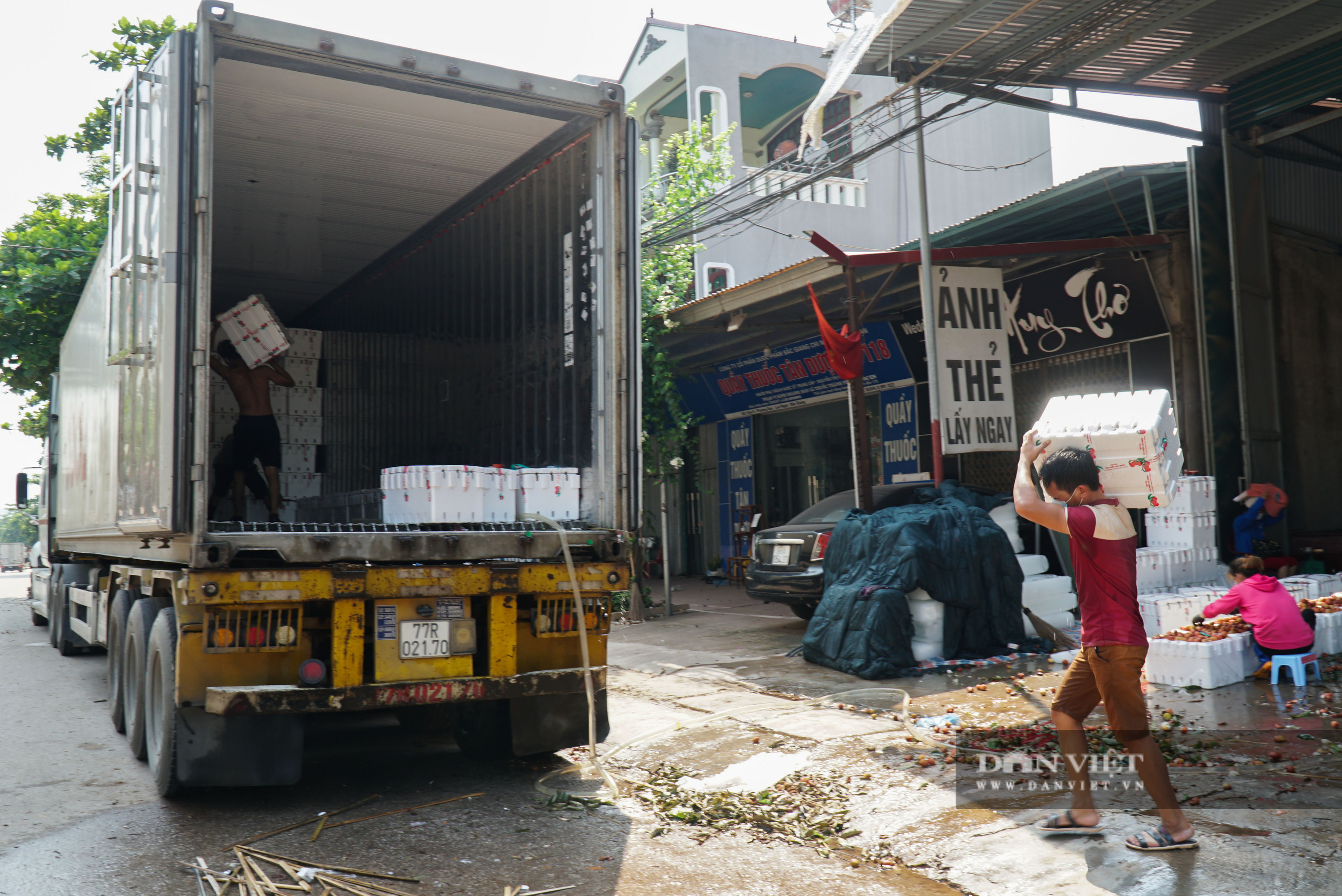 Vải Lục Ngạn được mùa nhưng không được giá, nông dân kêu trời, tiểu thương kêu lỗ - Ảnh 14.