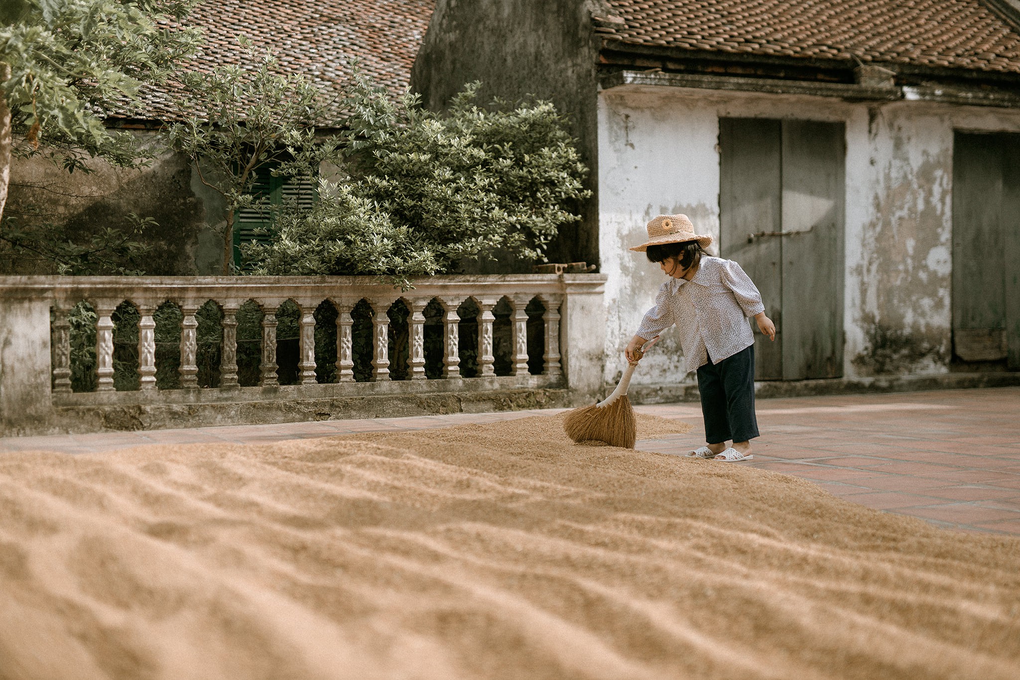 Bộ ảnh em bé Thái Bình gây sốt cộng đồng mạng - Ảnh 6.