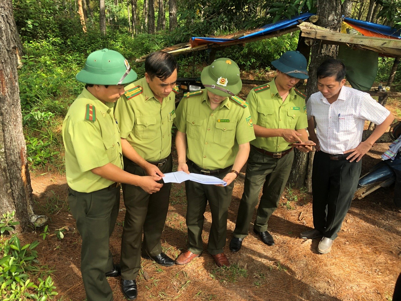 Nắng nóng gay gắt, Bộ trưởng NNPTNT chỉ đạo một số việc cấp bách về phòng, chữa cháy rừng - Ảnh 1.