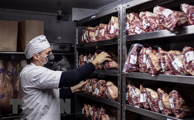 Argentina tạm dừng hoạt động xuất khẩu thịt bò của 12 doanh nghiệp - Ảnh 1.