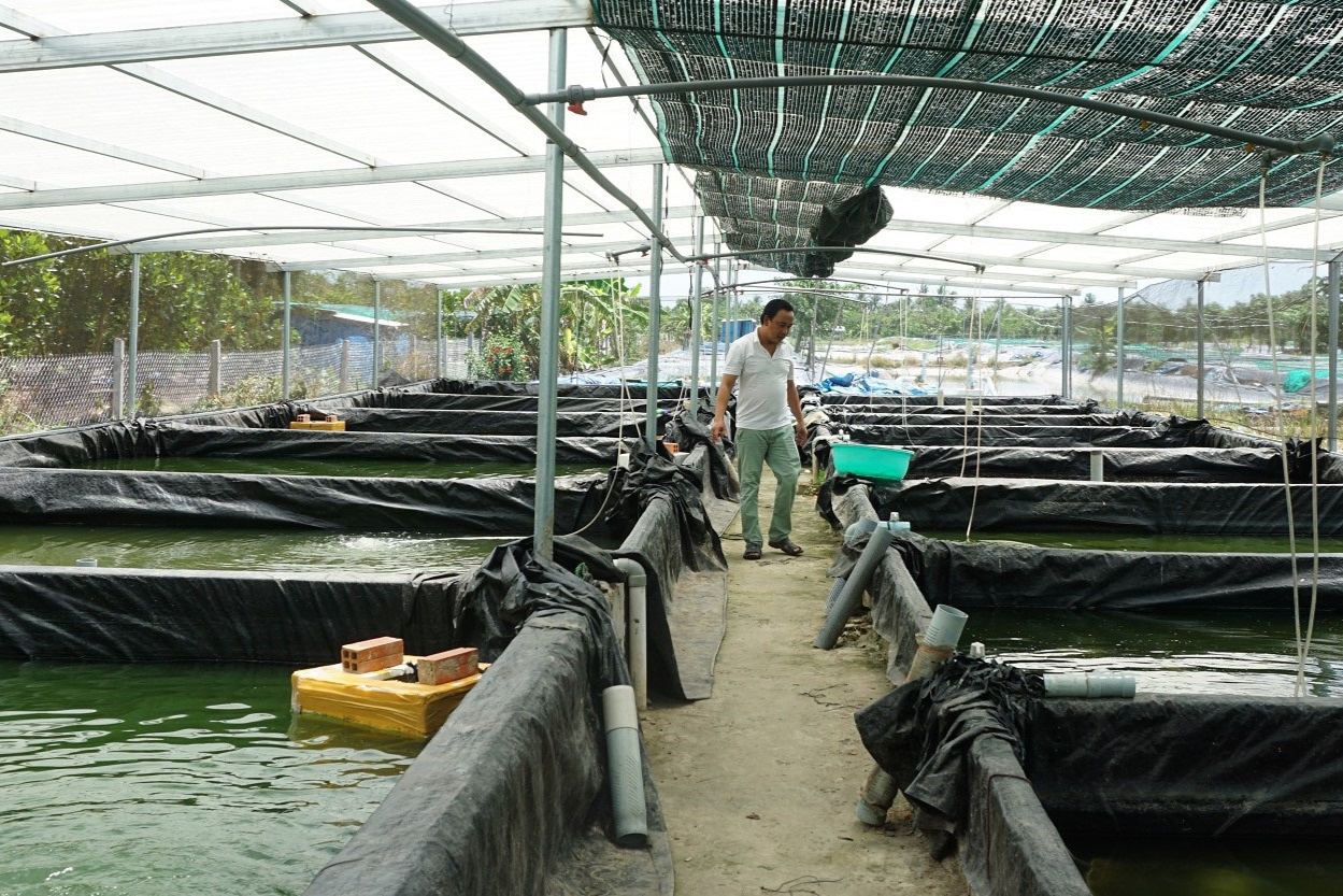 Cất bằng đại học dù thiên hạ cười, anh kỹ sư nuôi loài cá ngon như thịt baba thu 2 tỷ đồng/năm - Ảnh 3.