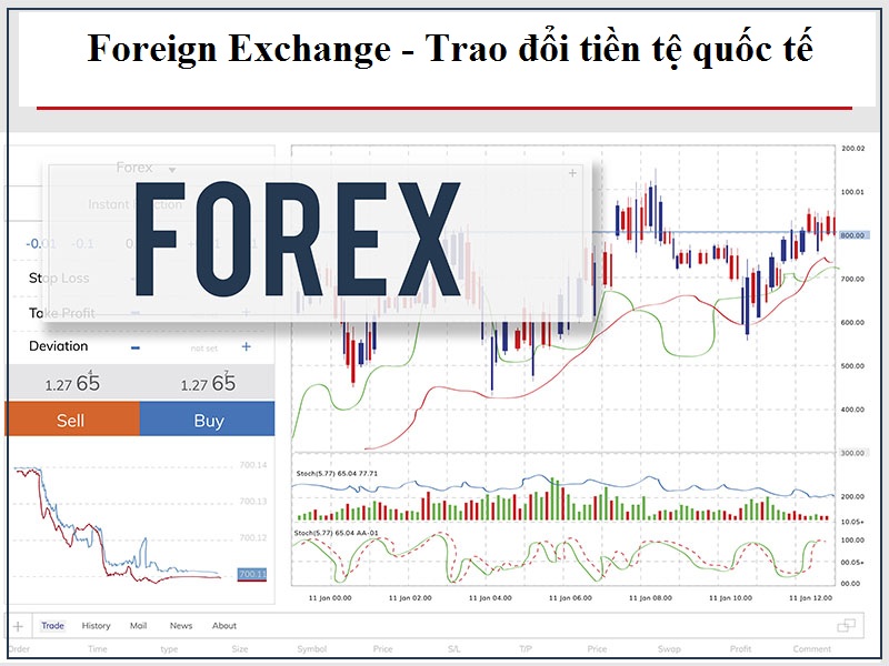 Vạch trần hình thức kinh doanh, giao dịch sàn Forex - Ảnh 1.