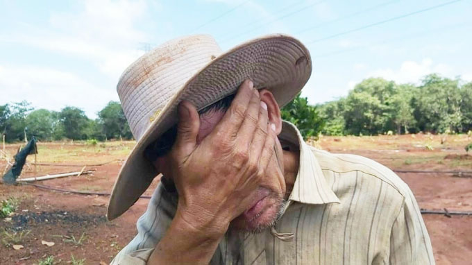 Lỗ trắng, nông dân trồng khoai lang tím Nhật chỉ biết rơi nước mắt - Ảnh 2.